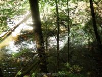 SAINT MARYS FALLS OTSEGO COUNTY CENTRAL NEW YORK 8-23-2014_00002.JPG