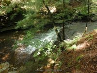 SAINT MARYS FALLS OTSEGO COUNTY CENTRAL NEW YORK 8-23-2014_00004.JPG