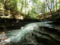 SAINT MARYS FALLS OTSEGO COUNTY CENTRAL NEW YORK 8-23-2014_00010.JPG