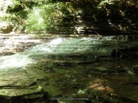 SAINT MARYS FALLS OTSEGO COUNTY CENTRAL NEW YORK 8-23-2014_00014.JPG