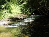 SAINT MARYS FALLS OTSEGO COUNTY CENTRAL NEW YORK 8-23-2014_00015.JPG