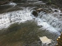 FALLS BELOW LOWER TOMPKINS CENTRAL NY 5-06-2012_00002.JPG