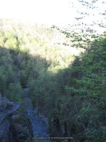 LUCIFER FALLS TOMPKINS CENTRAL NY 5-6-2012_00004.JPG