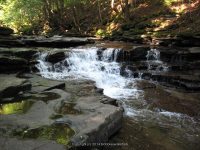 OSCEOLA FALLS LEWIS NORTHERN NY 7-11-2012_00003.JPG