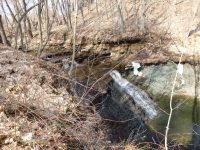 Densmore Falls Monroe County Western New York 4-12-2014_00001.JPG