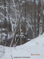 SLATER ROAD ONEIDA CENTRAL NY 12-31-2012_00003.JPG