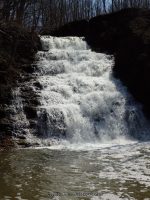 Holley Canal Falls Orleans County Western New York 4-12-2014_00009.JPG