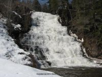 SCUDDERS MONTGOMERY EASTERN NY 3-17-2011_00005.JPG