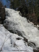 SCUDDERS MONTGOMERY EASTERN NY 3-17-2011_00006.JPG