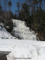SCUDDERS MONTGOMERY EASTERN NY 3-17-2011_00008.JPG