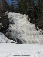 SCUDDERS MONTGOMERY EASTERN NY 3-17-2011_00009.JPG
