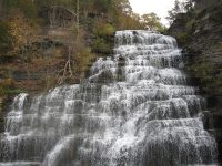 HECTOR SCHUYLER CENTRAL NEW YORK 10-19-2010_00004.JPG HECTOR SCHUYLER CENTRAL NEW YORK 10-19-2010_00004.JPG