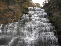 HECTOR SCHUYLER CENTRAL NEW YORK 10-19-2010_00006.JPG