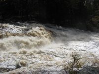 BASFORD ST LAWRENCE NORTHERN NY 10-07-2010_00016.JPG