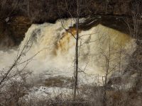 Medina Falls Orleans County Western New York 4-12-2014_00010.JPG