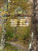 HARPERS ST LAWRENCE NORTHERN NY 10-07-2010_00001.JPG