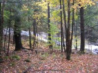 HARPERS ST LAWRENCE NORTHERN NY 10-07-2010_00002.JPG