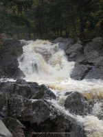 HARPERS ST LAWRENCE NORTHERN NY 10-07-2010_00006.JPG