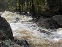 HARPERS ST LAWRENCE NORTHERN NY 10-07-2010_00014.JPG