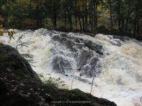 HARPERS ST LAWRENCE NORTHERN NY 10-07-2010_00017.JPG