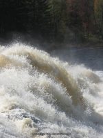 LAMPSONS ST LAWRENCE NORTHERN NY 10-07-2010_00007.JPG