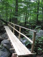 BEAVER MEADOW ESSEX NORTHERN NY 8-11-2011_00005.JPG