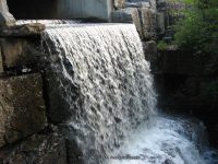 NEW HOPE MILLS CAYUGA CENTRAL NY 8-10-2008_00005.JPG