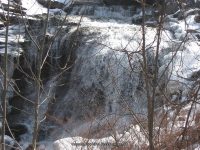 FELLOWS ONONADAGA CENTRAL NY 3-23-2008_00004.JPG