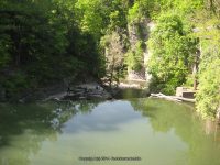 WELLS TOMPKINS CENTRAL NY 5-24-2008_00002.JPG