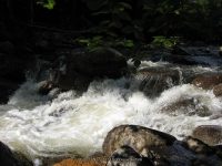IMG_0108.JPG