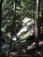 IMG_0116.JPG