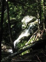 IMG_0117.JPG
