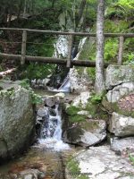 IMG_0118.JPG