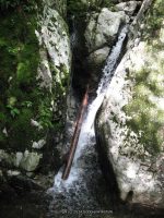 IMG_0119.JPG