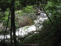 IMG_0126.JPG
