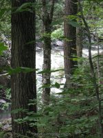 IMG_0127.JPG