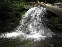 IMG_0169.JPG