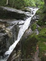IMG_0177.JPG