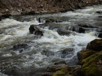 Akron Falls Park Erie County Western New York 4-13-2014_00005.JPG