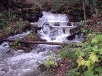 OXBOW FALLS MADISON CENTRAL NY 10-20-2006_00008.JPG