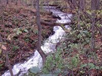 OXBOW FALLS MADISON CENTRAL NY 10-20-2006_00017.JPG