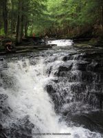 OSCEOLA FALLS LEWIS NORTHERN NY 7-22-2010_00005.JPG