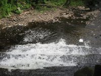 OSCEOLA FALLS LEWIS NORTHERN NY 7-22-2010_00008.JPG
