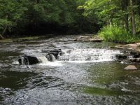 OSCEOLA FALLS LEWIS NORTHERN NY 7-22-2010_00020.JPG