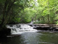 OSCEOLA FALLS LEWIS NORTHERN NY 7-22-2010_00029.JPG