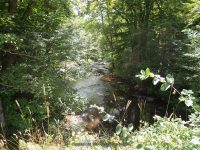 GRAVES CEMETERY FALLS ONEIDA COUNTY CENTRAL NEW YORK 9-1-2014_00002.JPG