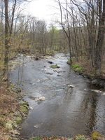 GRAVES CEMETERY ONEIDA CENTRAL NY 4-18-2010_00003.JPG