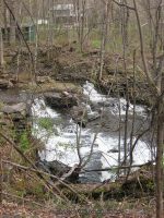 GRAVES CEMETERY ONEIDA CENTRAL NY 4-18-2010_00007.JPG
