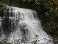 TALCOTT FALLS JEFFERSON NORTHERN NY 10-01-2010_00009.JPG