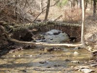 Emery Falls Erie County Western New York 4-13-2014_00020.JPG